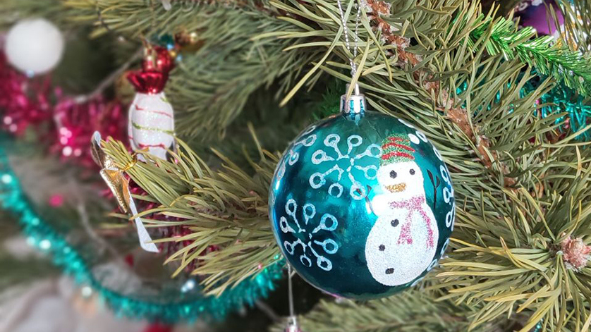 Резиденция Деда Мороза откроется в Благовещенске - gtrkamur.ru