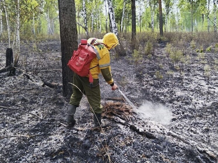 В Иркутской области потушили восемь лесных пожаров