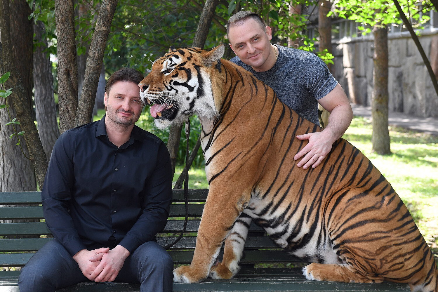 Эдгард запашный. Брат аскольда запашного. Брат аскольда запашного. Братья запашные 2012. Эдгард запашный дрессировщик.