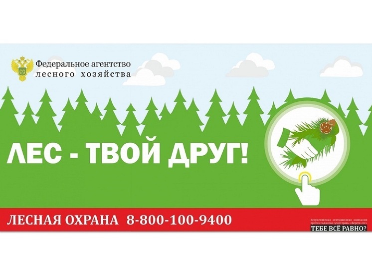 В Ивановской области с 10 апреля установлен пожароопасный сезон