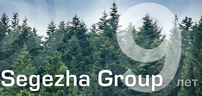 Холдингу Segezha Group исполнилось 9 лет