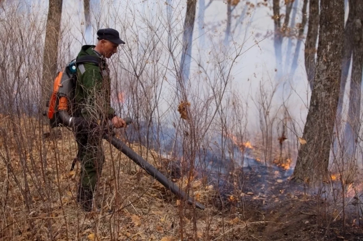 Пожар всегда легче предотвратить, чем потушить.