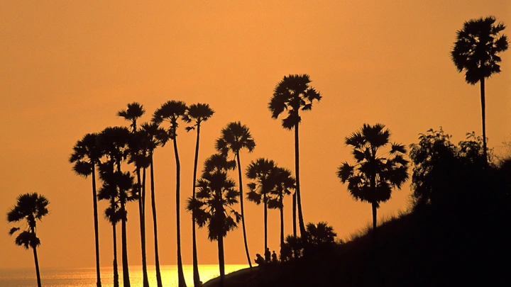 Раскрыта тайна пропавшей в Таиланде девушки: 12 лет поисков и останки на пустыре