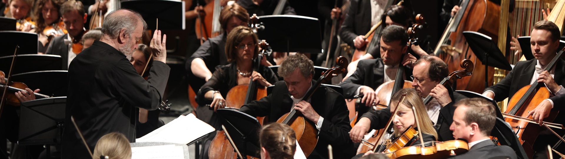 Обложка: Фестиваль «Звезды белых ночей» рассказал об июньской программе