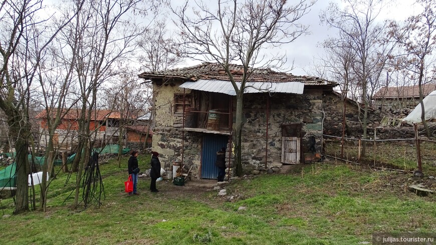 Как мы праздновали 14 февраля в Северной Македонии