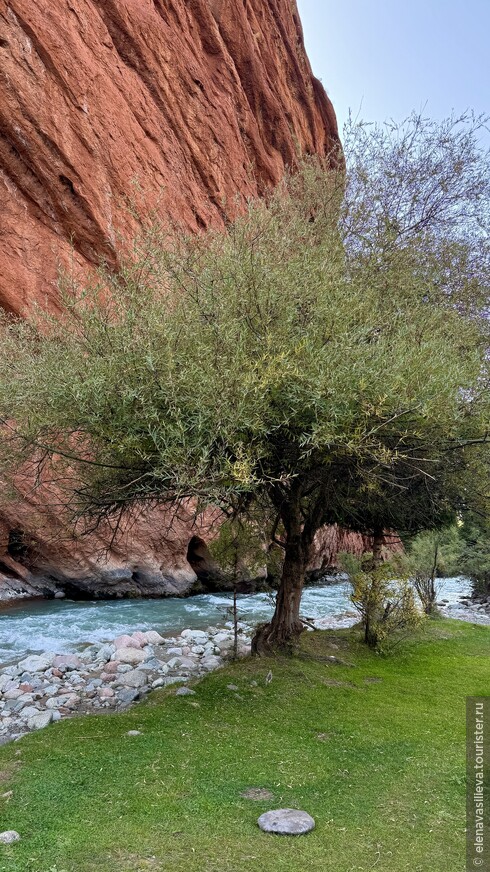 «Сказка» странствий