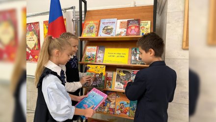 В Воронеже собрали книги для детей из ЛНР