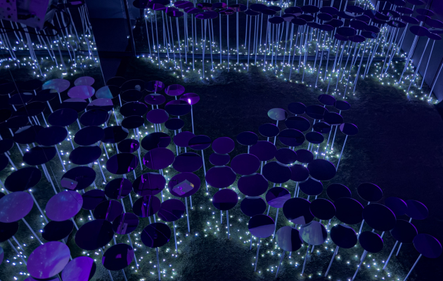 мультисенсорная выставка-переживание «СОН В МУЗЕЕ»