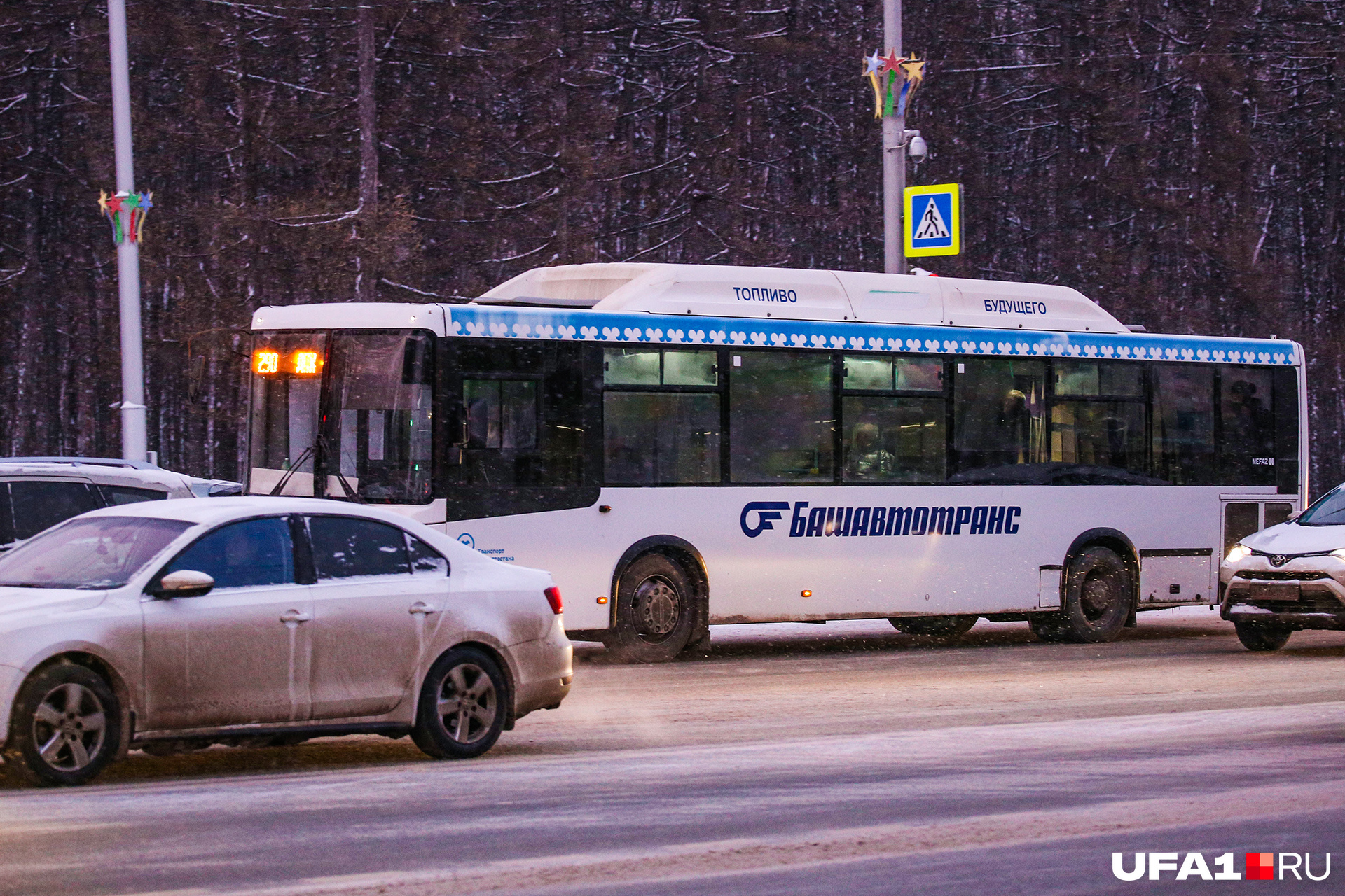 Башавтотранс уфа. Башавтотранс автовокзал Уфа. Автобусы Башавтотранс Уфа. Уфа Башавтотранс автобус Уфа. Микроавтобус Башавтотранс.