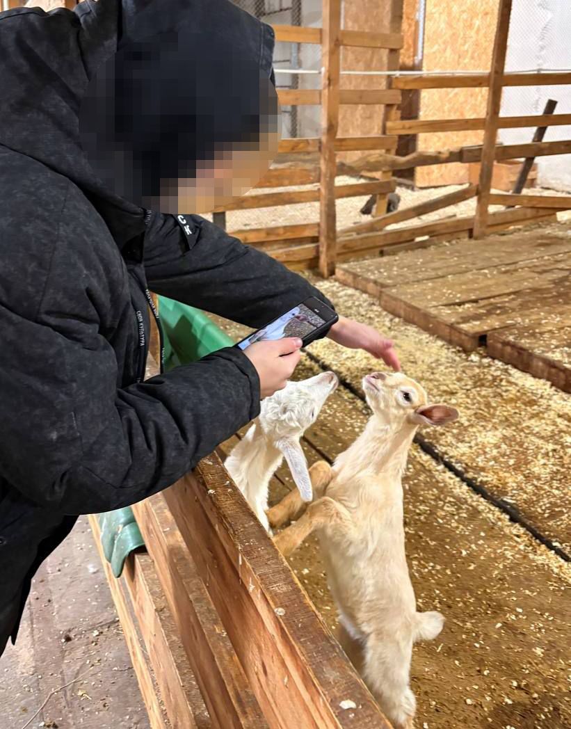 Подростки, состоящие на учёте, посетили страусиную ферму