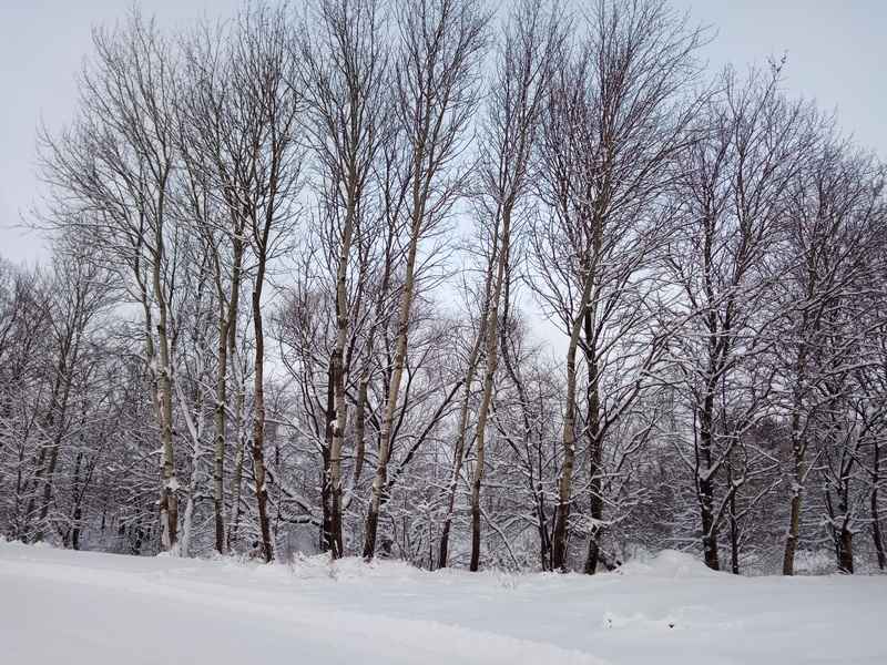 Аномальные холода задержатся в Брянской области