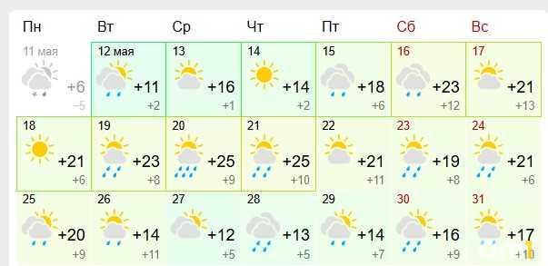 После майского снегопада в Омск придёт резкое потепление до +25 градусов