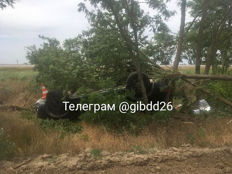 Общество пострадавших в дтп