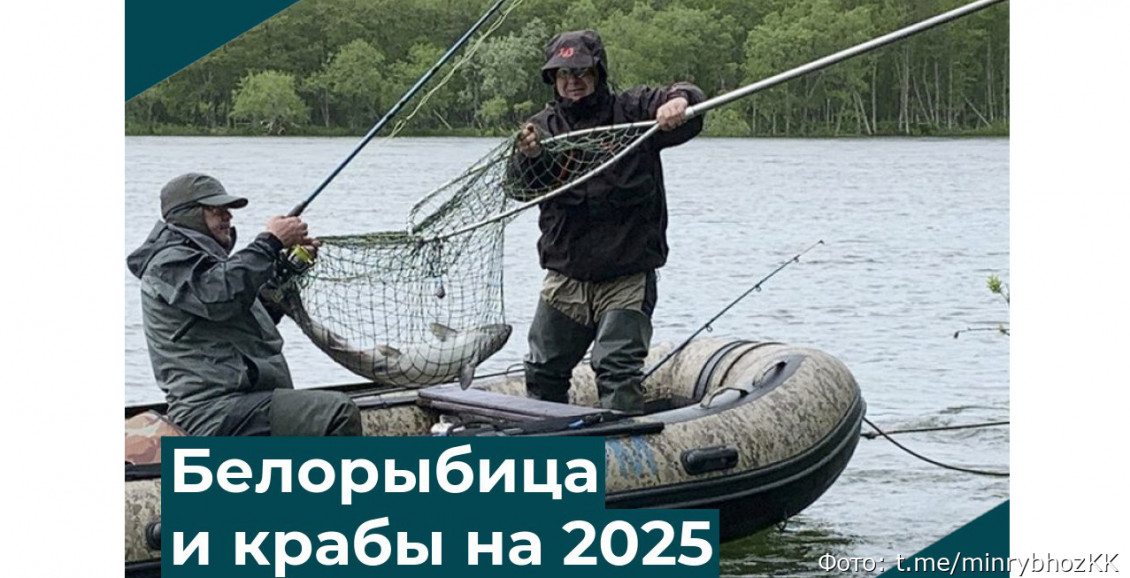 На Камчатке распределили квоты на 2025 год для рыболовов-любителей