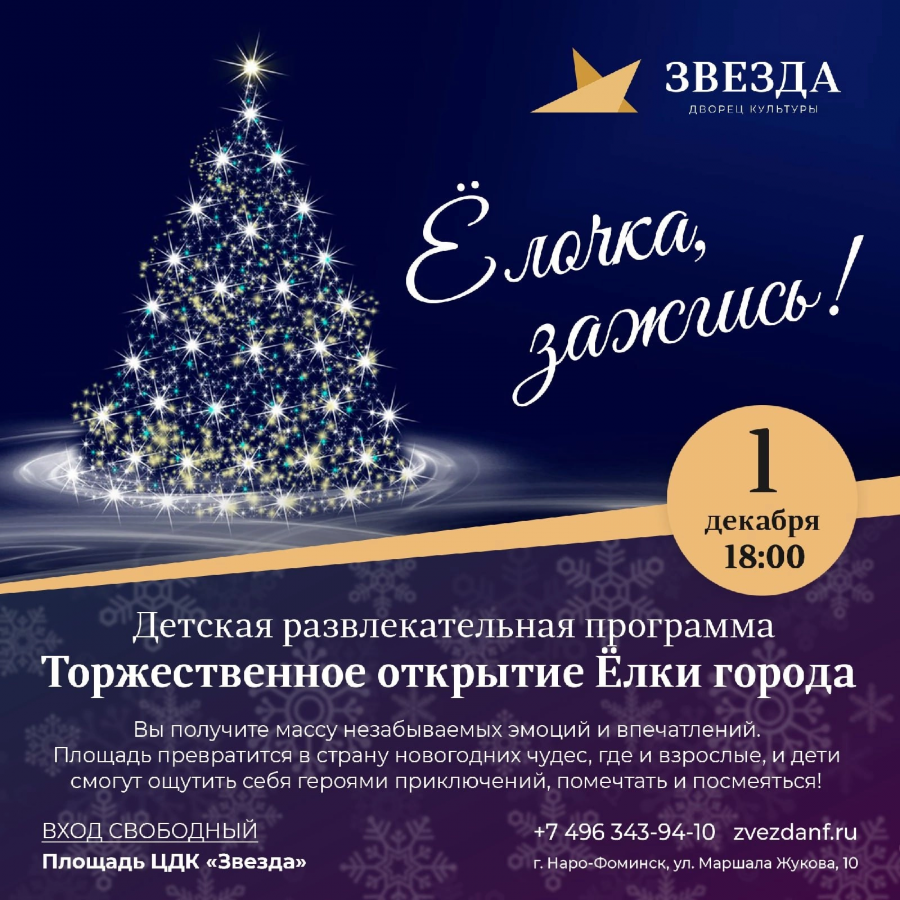 Программа елка. Реклама праздничного открытия новогодней елки. Афиша приглашение на зажжение елки. Зажжение елки анонс. Приглашение на елку для детей.