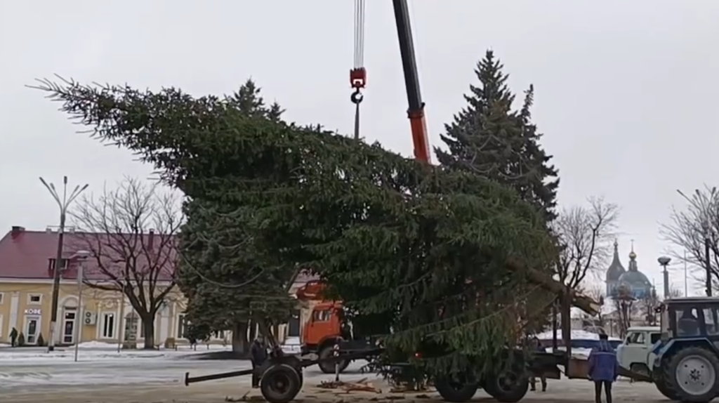 На центральной площади Новозыбкова установили новогоднюю ель