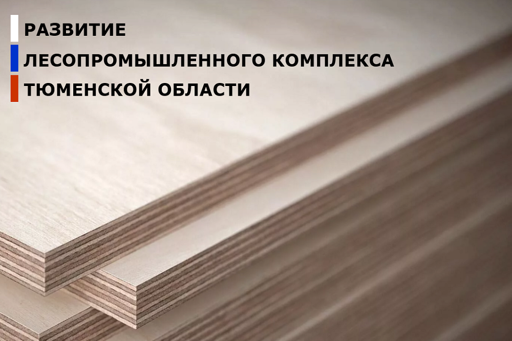 Перечень приоритетных инвестиционных проектов в области освоения лесов