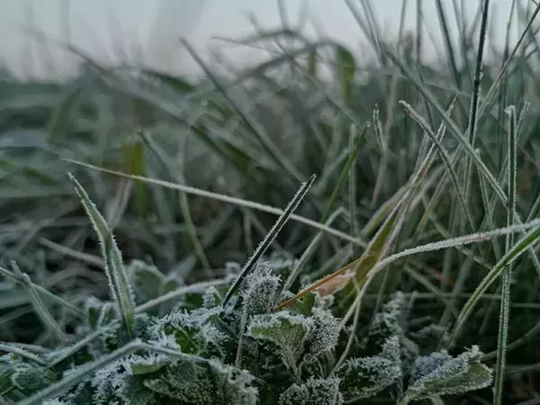 В Ростовской области жителей предупредили о заморозках на Пасху
