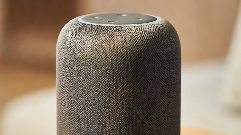 Брянцев напугали слухами о том, что их могут подслушивать «умные колонки»