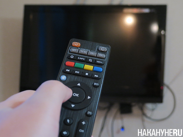 Фото: Накануне.RU