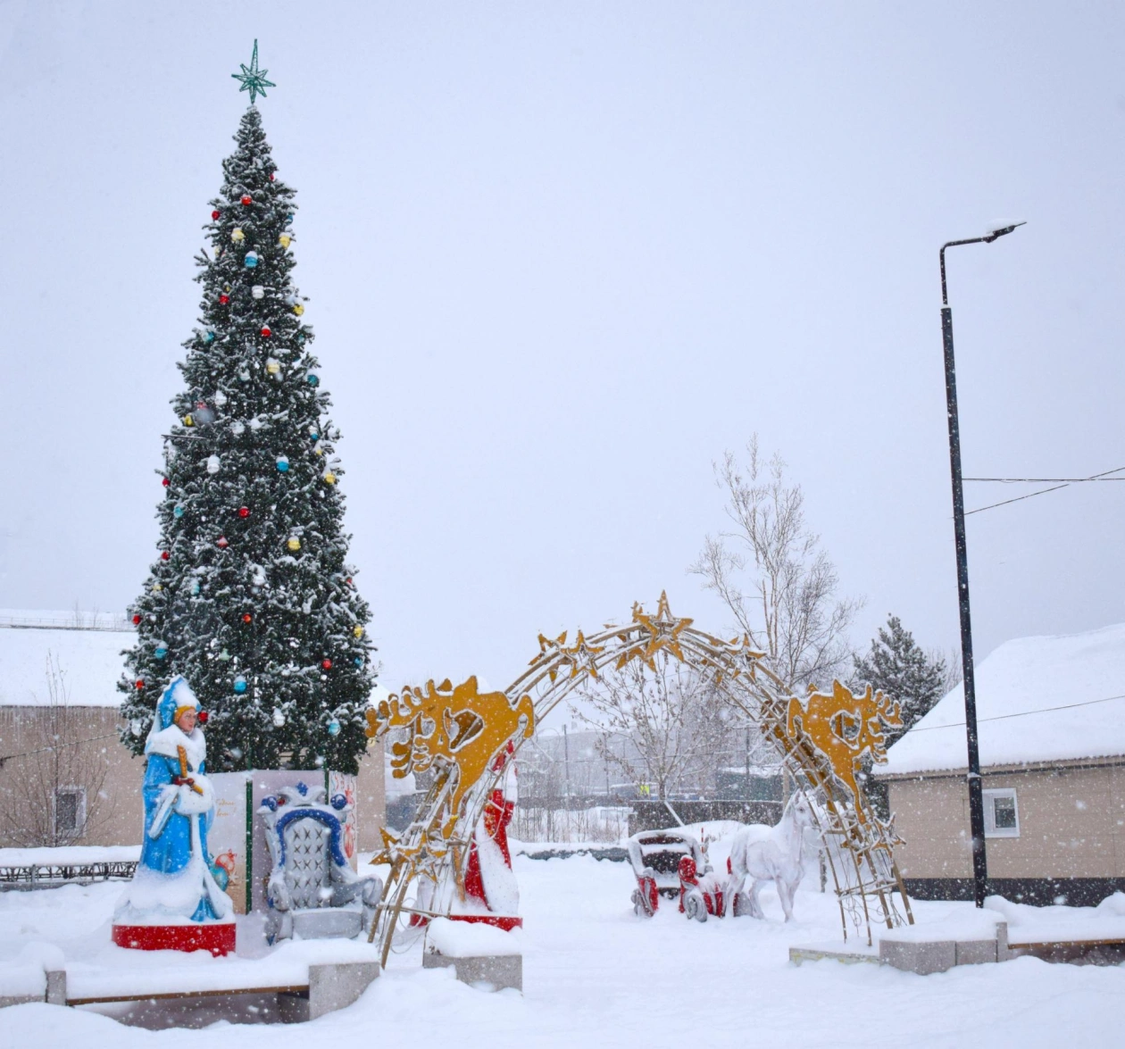 представлено администрацией Александровск-Сахалинского муниципального округа