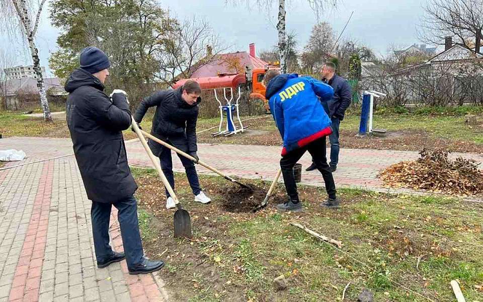 В мэрии Воронежа дали комментарий по происшествию на аллее Жириновского 