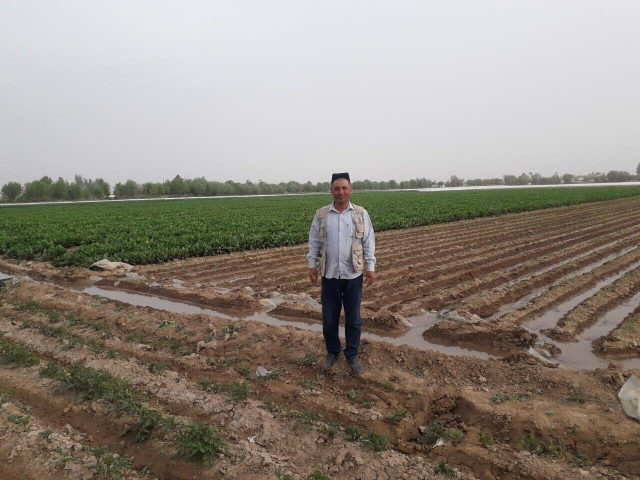 В Таджикистане растет число фермеров