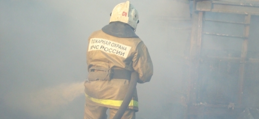 При пожаре в деревне Лодыгино Островского округа погиб мужчина