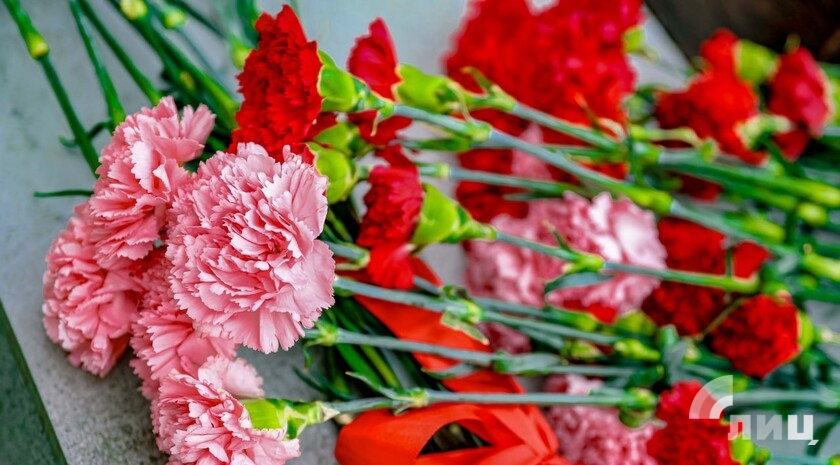 Фото: Луганский Информационный Центр/Анастасия Стеценко