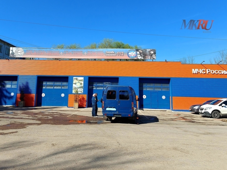 Калужские спасатели 373 раза тушили палы