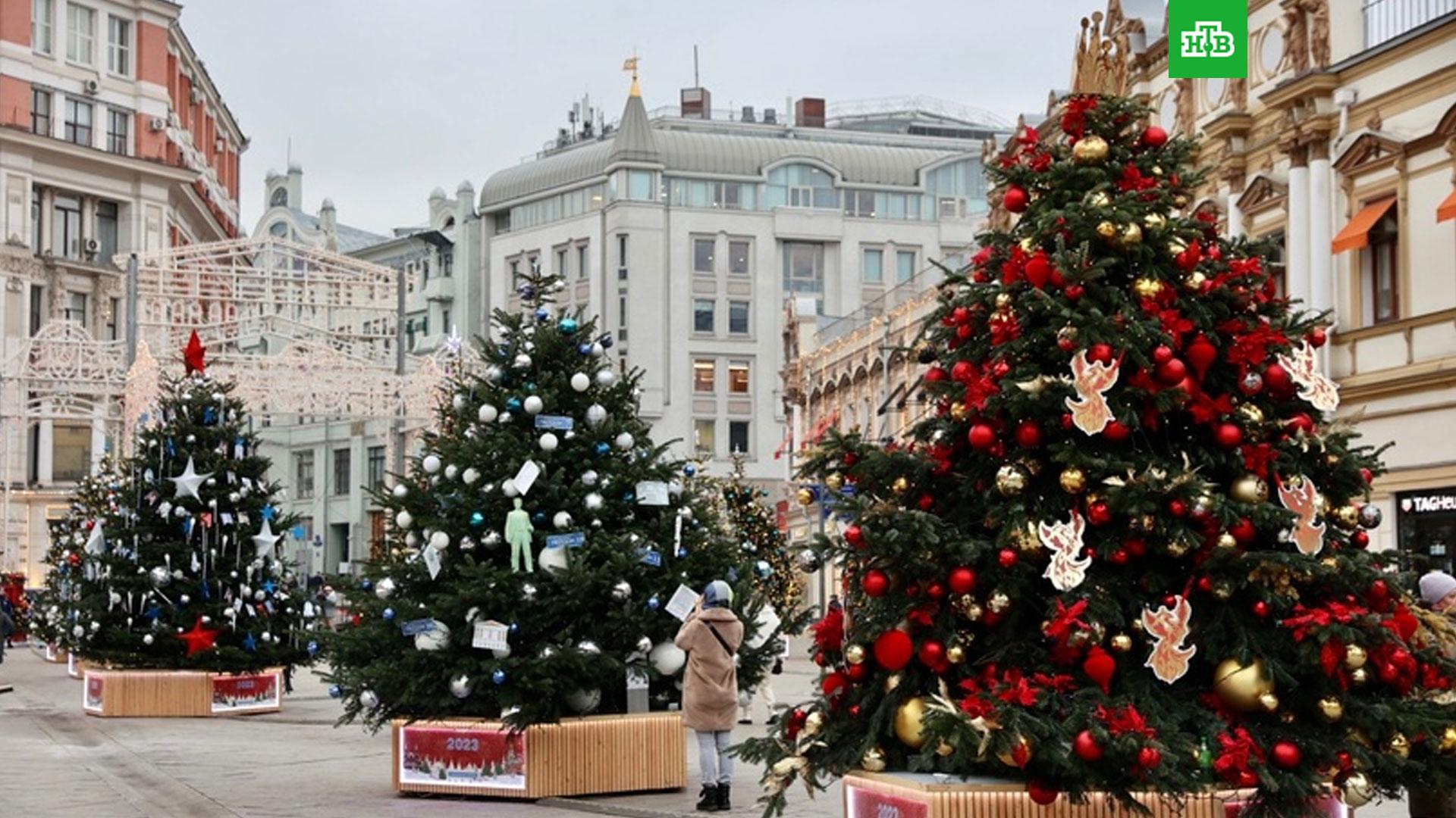 Елки московская область