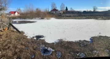 Фото: В Алтайском крае двухлетняя девочка утонула в луже 1