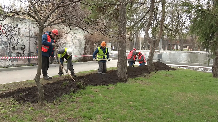 «Холерного» кладбища на территории Городского парка точно не было 
