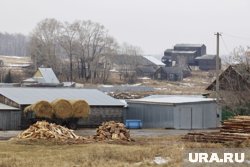 Предлагается объединить поселок Куеда, а также деревни Куеда, Трегубовка и Солодовка Куединского района в единый населенный пункт