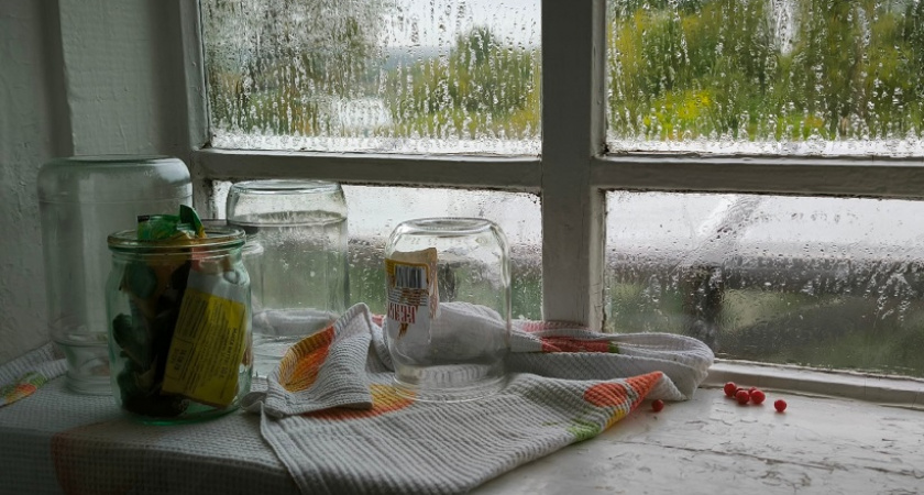 Ставлю на подоконник одну вещь и всю зиму живу припеваючи: в доме тепло даже в -40°C и пахнет сибирским лесом