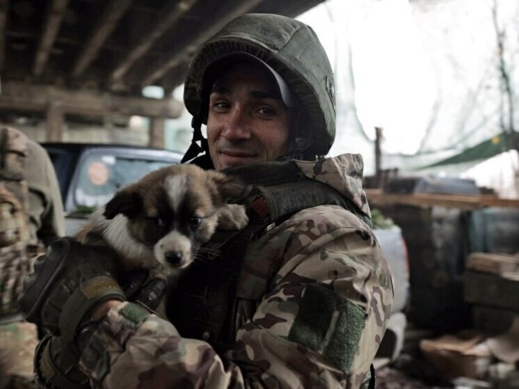 В Севастополе пройдет XI Фестиваль духовно-нравственного и семейного кино