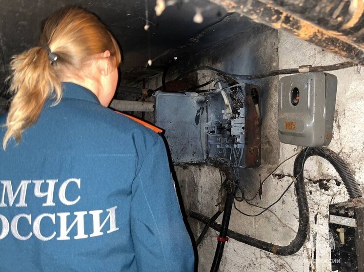 В Архангельске крысы едва не стали причиной крупного пожара