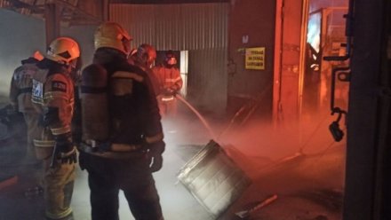 Пожар вспыхнул в котельной производственного здания в Воронежской области