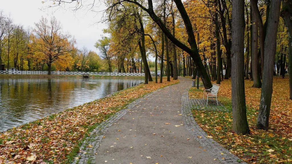 Москва территория МГУ осень сквер