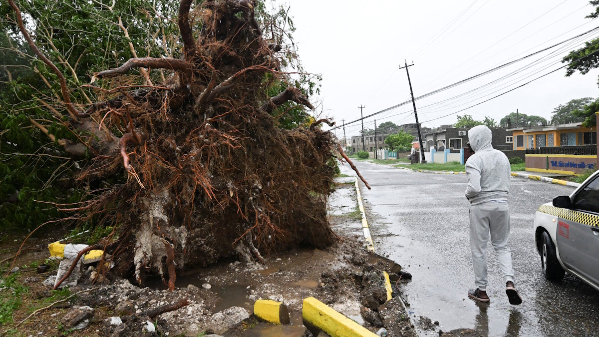 Последствия урагана 