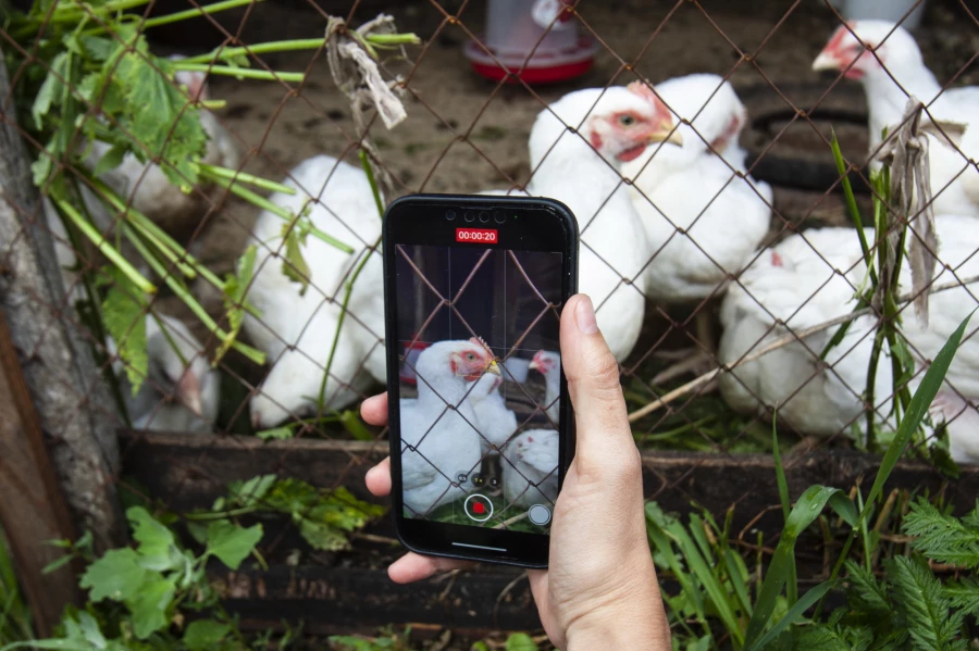 Гостевой дом «К бабушке в деревню» в Усть-Пустынке.