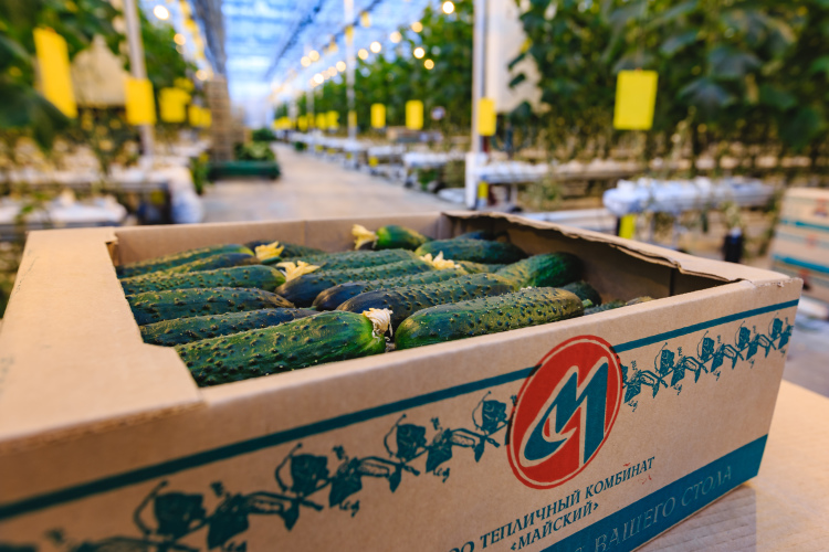 Комбинат «Майский» реализовал продукции на 15% больше, чем годом ранее, — почти 4,5 млрд рублей