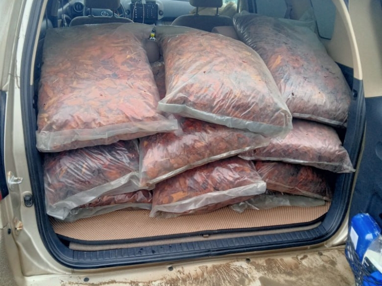 Россельхознадзор пресек попытку незаконного вывоза 300 килограммов хвойной коры из Омской области в Казахстан