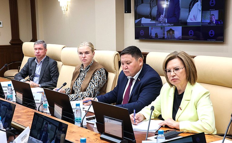 Круглый стол Комитета СФ по социальной политике «Доступность жизненно необходимых и важнейших лекарственных препаратов для льготных категорий граждан: проблемы и пути решения»