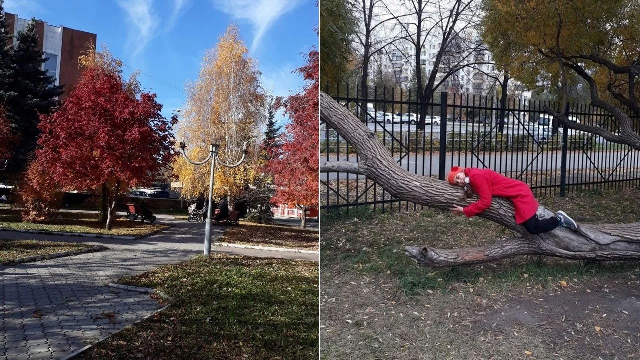 Новости нашего городка картинка