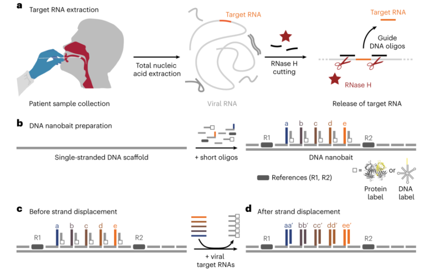 экологический отчет показатели. зима лето парк металлострой проект. парк зима лето в санкт-петербурге. формирование комфортной городской среды нацпроект. охрана топливно-энергетические ресурсы.
