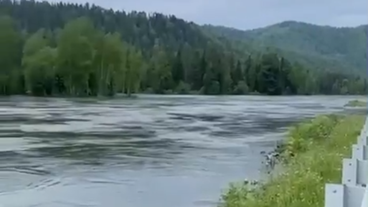 Дорога на телецкое озеро