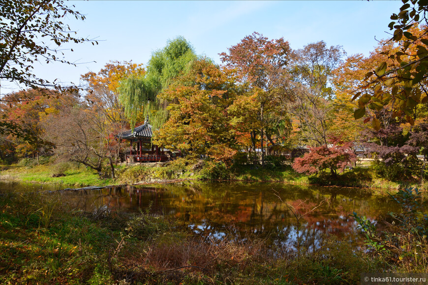 Танпхун - фольклор, этнография и лесной храм