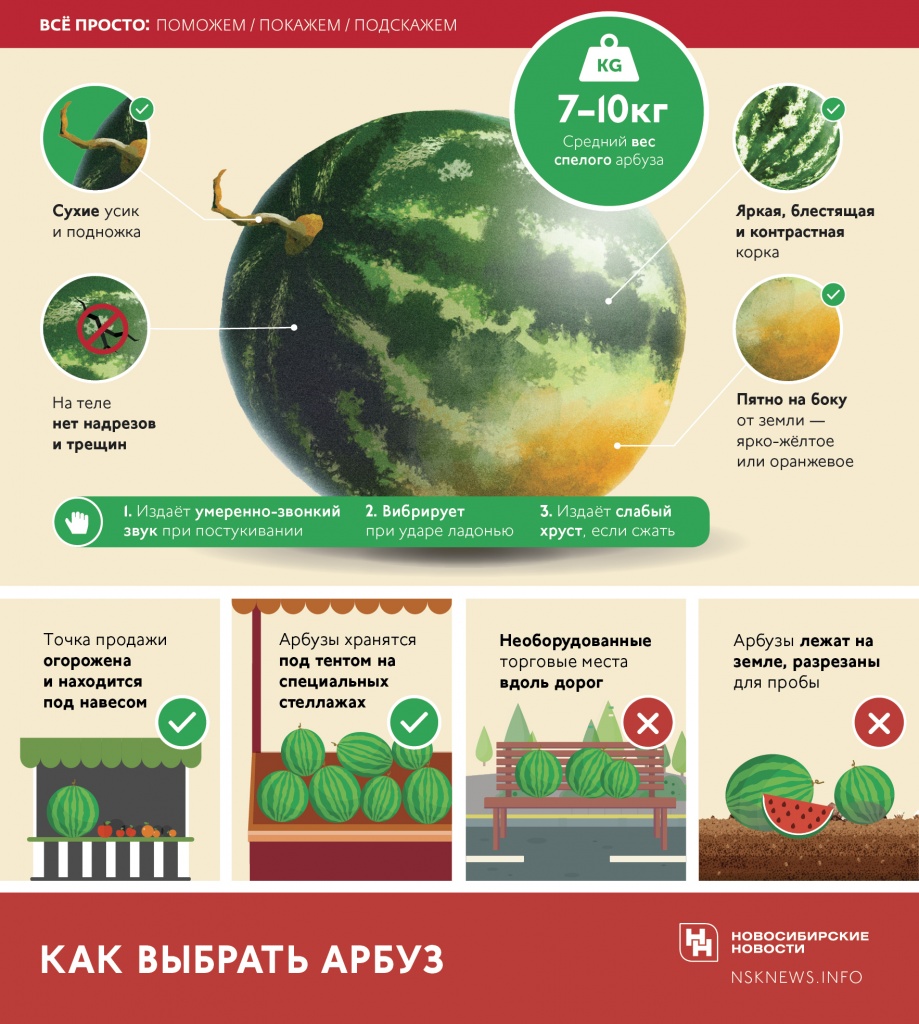 Какой звук у спелого арбуза. Выбрать Арбуз правильно спелый. Как выбрать Арбуз. Как выбрать сладкий Арбуз. Как выбрать Арбуз спелый и сладкий.