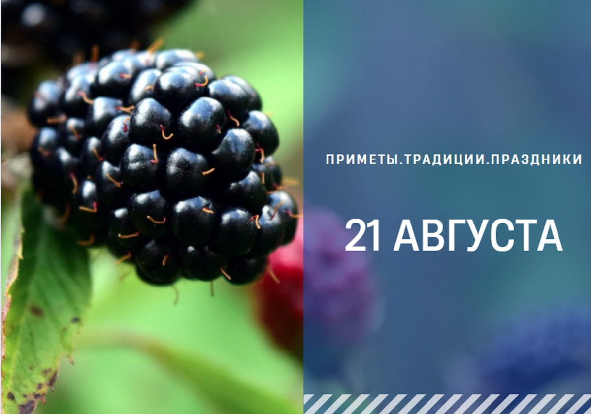 Приметы 21 августа: что нельзя делать в день Мирона Ветрогона